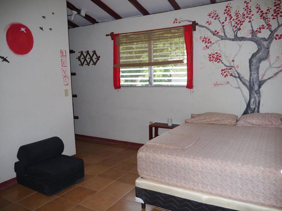 Free Spirit Hostel Transito Zewnętrze zdjęcie