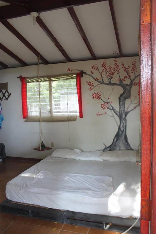 Free Spirit Hostel Transito Zewnętrze zdjęcie